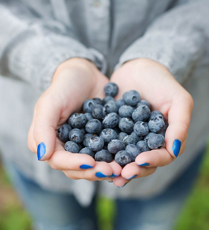 a website with 100+ different layouts