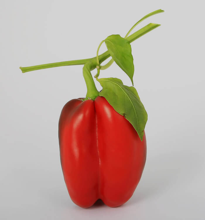 most beautiful design trends