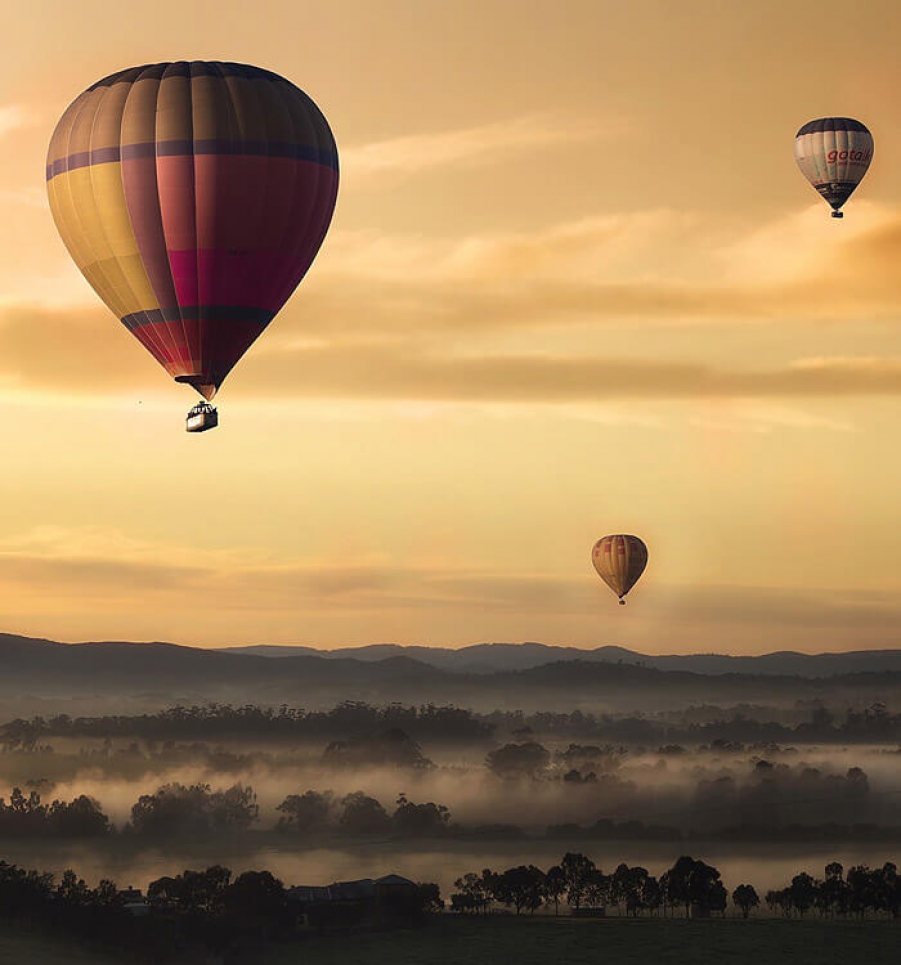 Aliquam Rhoncus amet Maecenas sed nisl