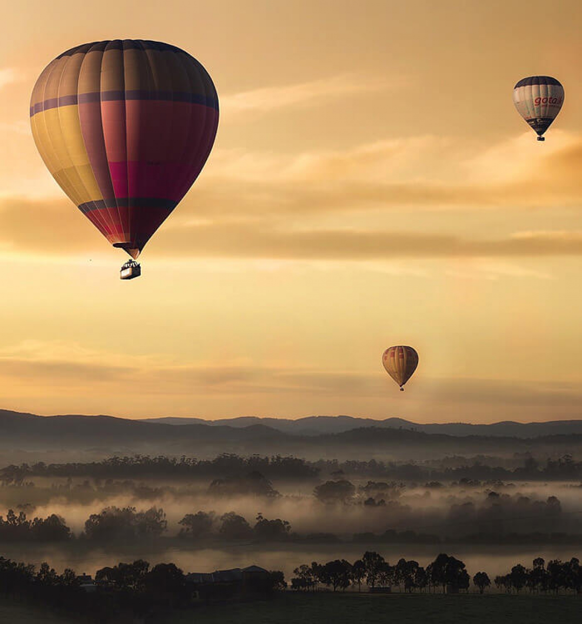 Aliquam Rhoncus amet Maecenas sed nisl