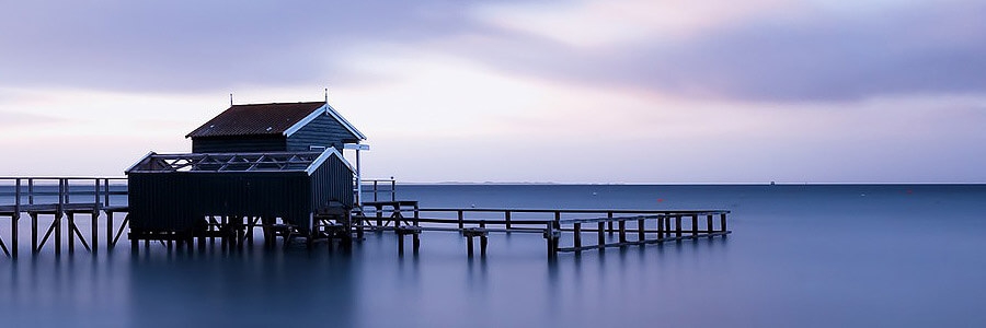 Internet tend to repeat predefined