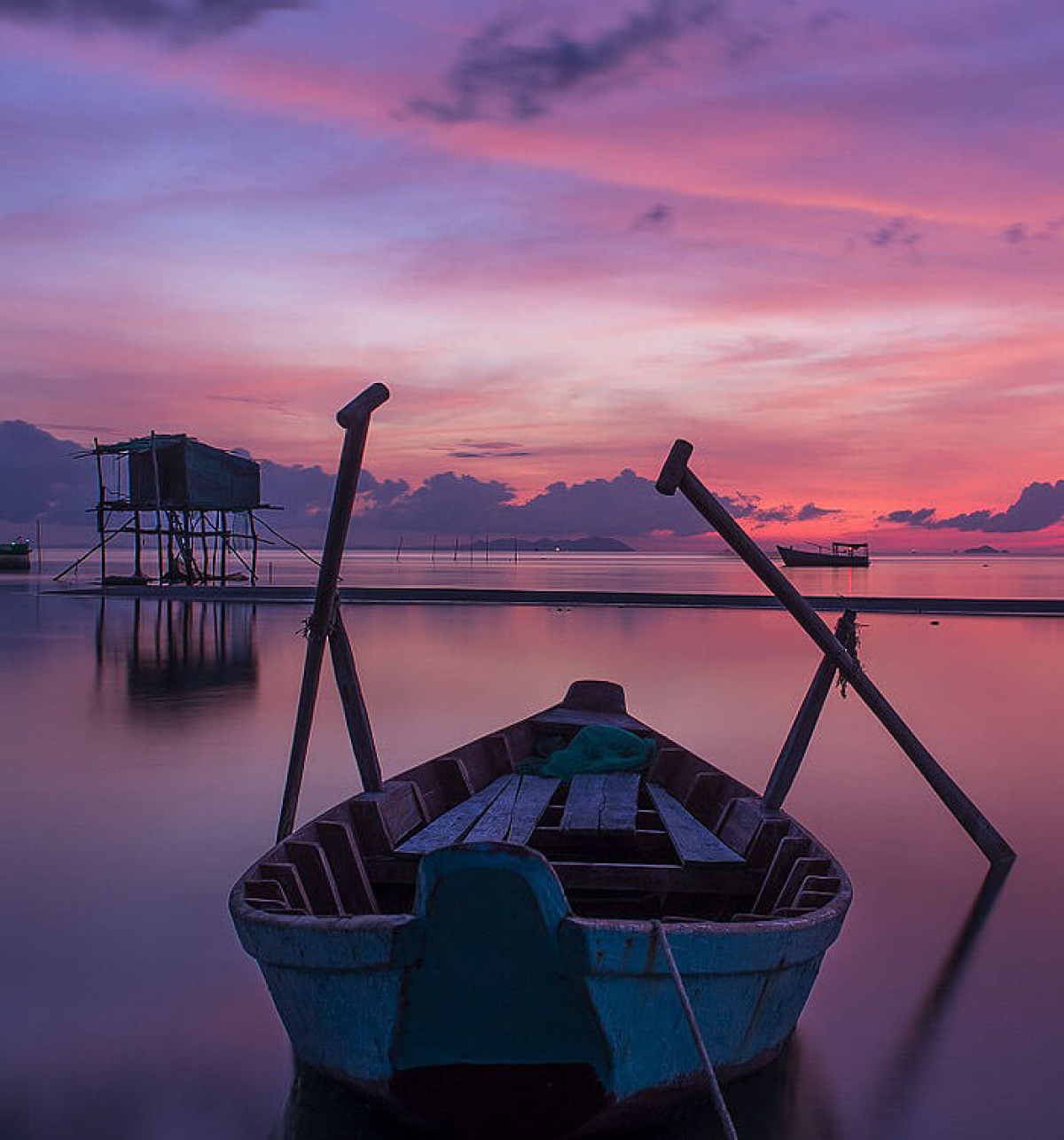 Aliquam Rhoncus amet Maecenas sed nisl