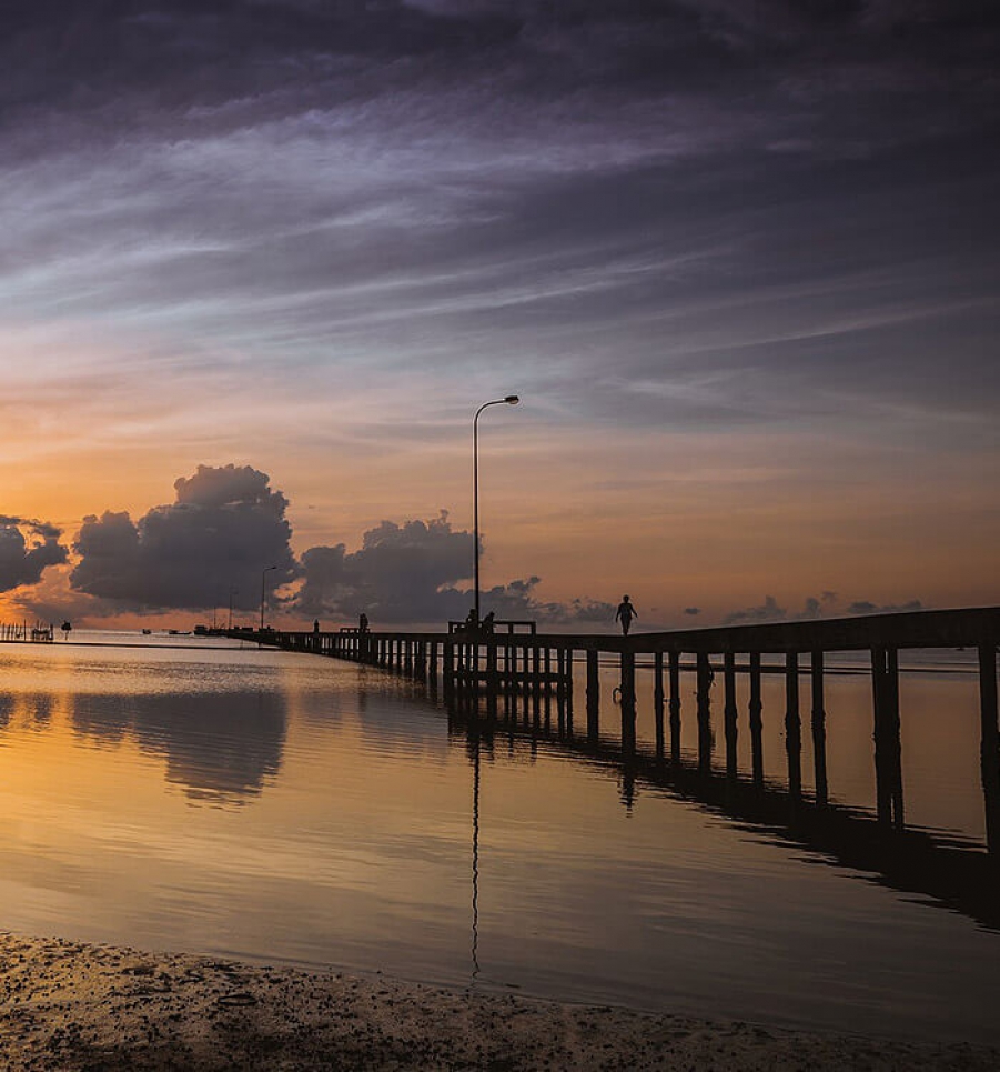 Aliquam Rhoncus amet Maecenas sed nisl